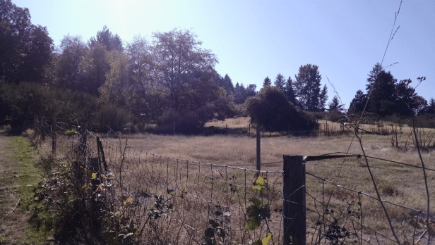 screen-shot-2016-09-30-at-5-45-48-pm