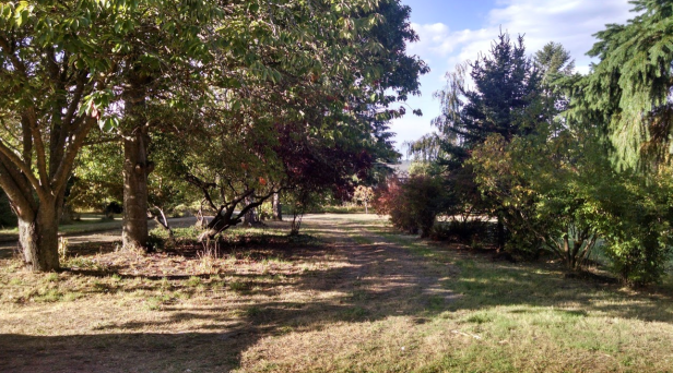 screen-shot-2016-10-01-at-3-13-25-pm